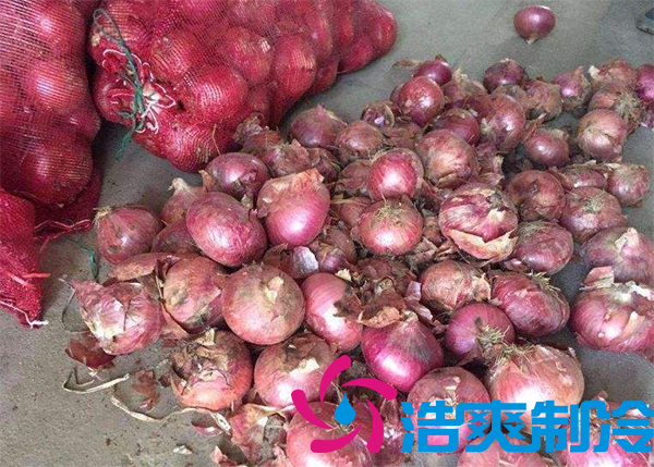 建造1000噸洋蔥保鮮冷庫安裝費用是多少？