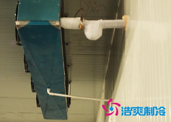 建造大型農(nóng)產(chǎn)品基地冷庫造價(jià)需要投資多少費(fèi)用？