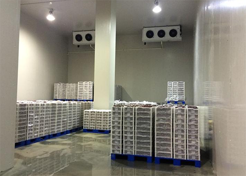 建造安裝1000㎡冷庫造價大概需要多少費用？_浩爽制冷