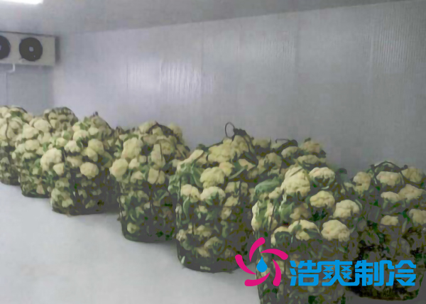 云南500平米氣調冷庫安裝造價大概是多少？_浩爽制冷
