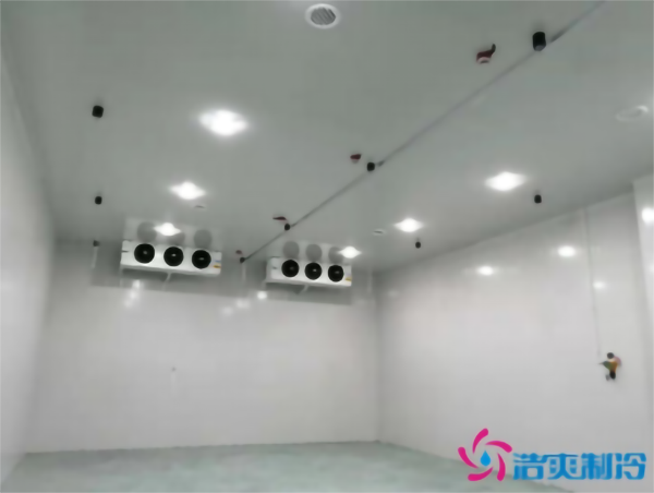 調(diào)味料冷庫溫度需求，建一個食品調(diào)味料冷庫多少錢？_浩爽制冷