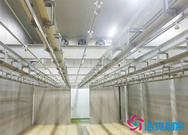 屠宰場建造200噸豬肉排酸冷庫安裝造價多少錢？-浩爽制冷