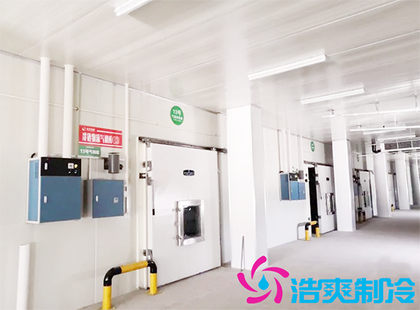 農(nóng)產(chǎn)品批發(fā)市場建造700立方保鮮冷庫全套制冷設(shè)備報(bào)價(jià)多少錢？-浩爽制冷