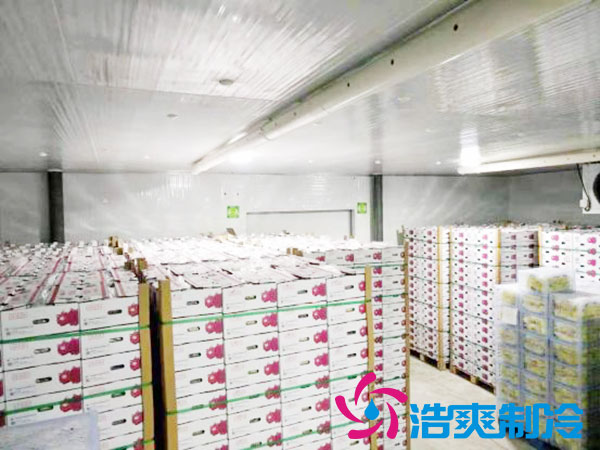 建造一個火龍果冷庫要花多少錢？-浩爽制冷