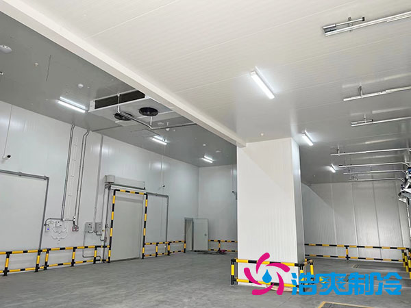 建一個(gè)2000平方米的大型冷庫需多少錢？-浩爽制冷