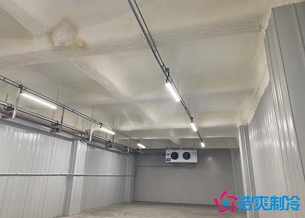 低溫冷庫建造用風(fēng)冷好還是排管好？.jpg