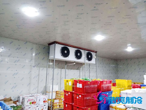 建設(shè)一個(gè)占地3000平方米的食品恒溫庫