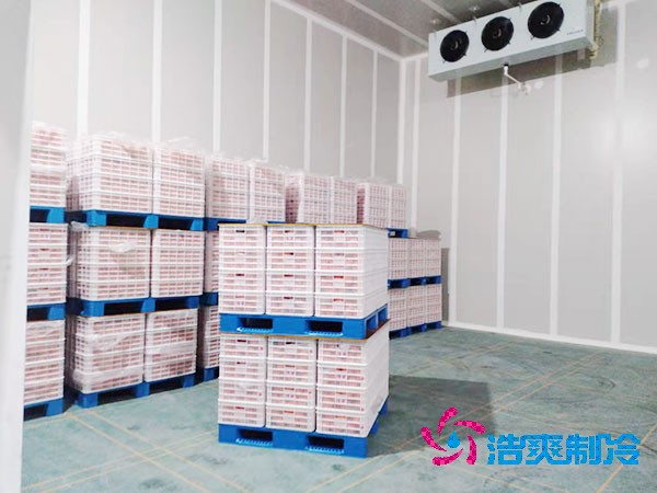 大型氣調冷庫造價